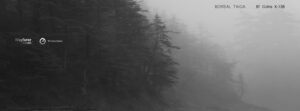 Boreal Taiga BT Gate X-138 ambient dub techno