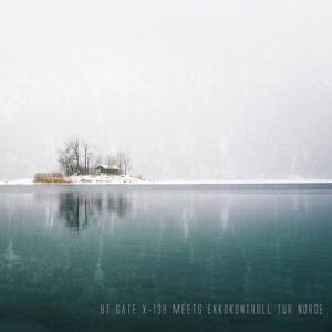 Boreal Taiga BT Gate X-138 ambient dub techno