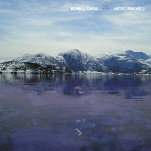 Boreal Taiga BT Gate X-138 ambient dub techno