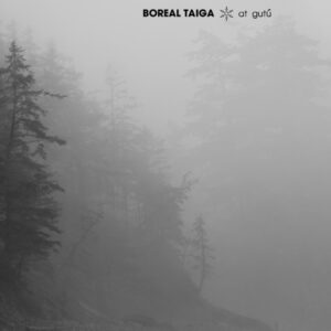 Boreal Taiga BT Gate X-138 ambient dub techno