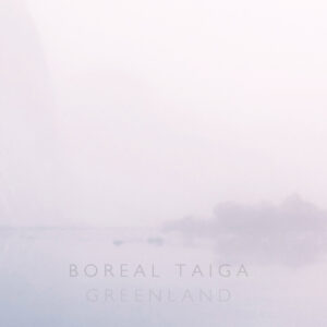 Boreal Taiga BT Gate X-138 ambient dub techno