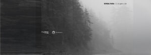Boreal Taiga BT Gate X-138 ambient dub techno