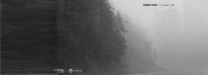 Boreal Taiga BT Gate X-138 ambient dub techno