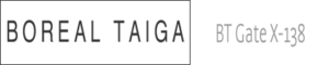 Boreal Taiga BT Gate X-138 ambient dub techno