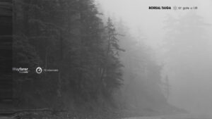 Boreal Taiga BT Gate X-138 ambient dub techno