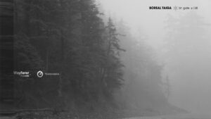 Boreal Taiga BT Gate X-138 ambient dub techno