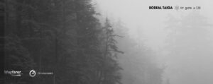 Boreal Taiga BT Gate X-138 ambient dub techno