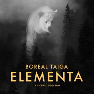 Boreal Taiga BT Gate X-138 ambient dub techno